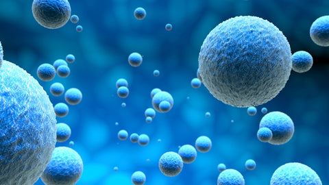 Exosome – die Revolution in der ästhetischen Medizin